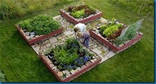 new ideas for gardening blog
