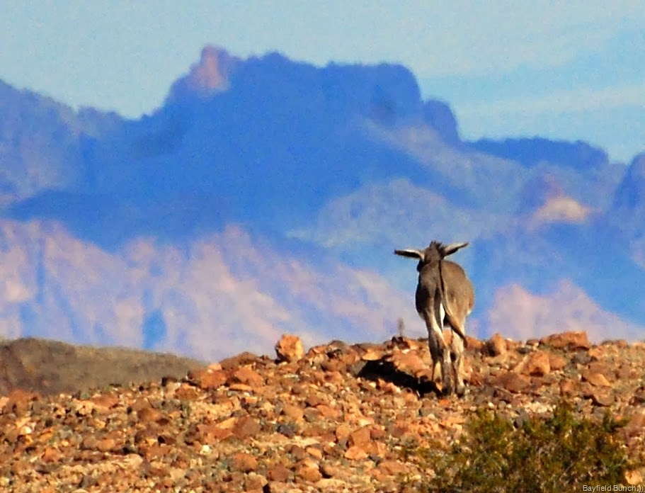 [DSC_0615%255B8%255D.jpg]