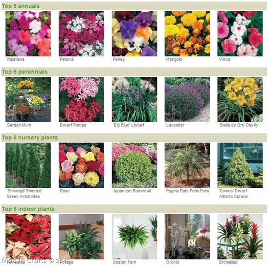 Get Ready For Spring With The Home Depot Garden Club Mad In Crafts Home Depot Garden Club Mad In Crafts, Home Depot Garden Design