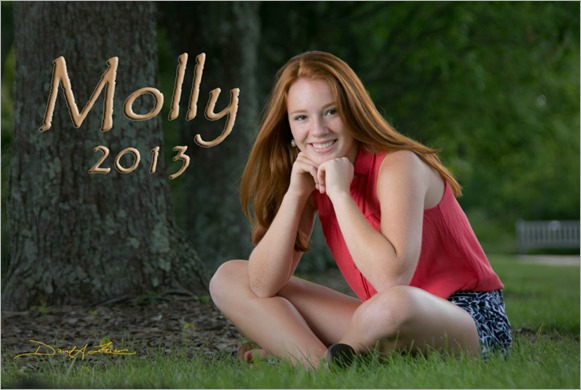 Molly - Seating Pretty