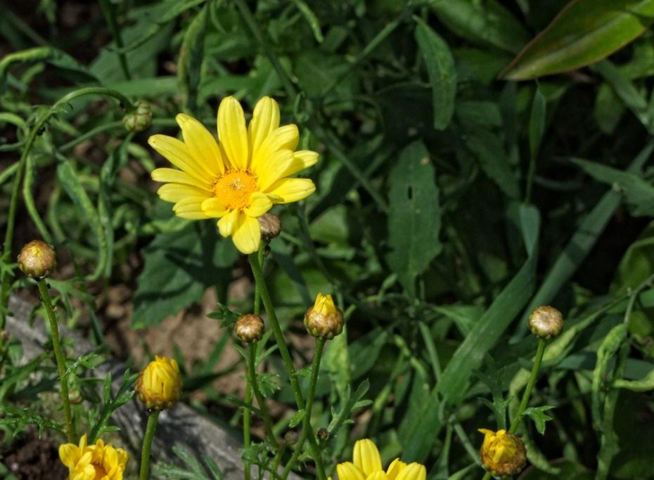 [DSCF3228_re%255B2%255D.jpg]