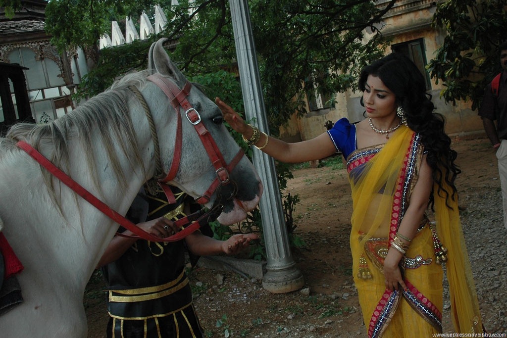 [Chandra%2520Movie%2520Gallery%2520Shriya%2520Hot%2520%25281%2529%255B3%255D.jpg]