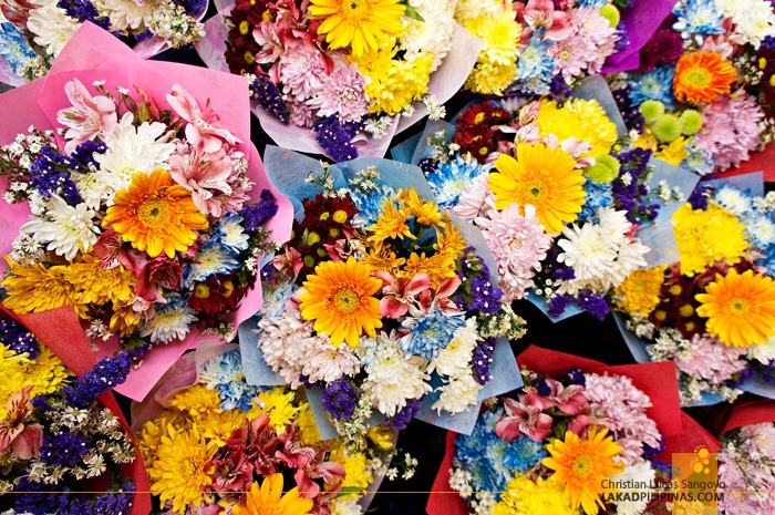 Burst of Colors at Dangwa Flower Market in Manila