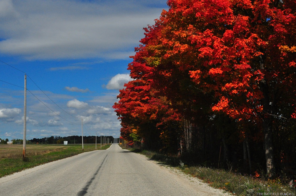 [DSC_0061%255B4%255D.jpg]