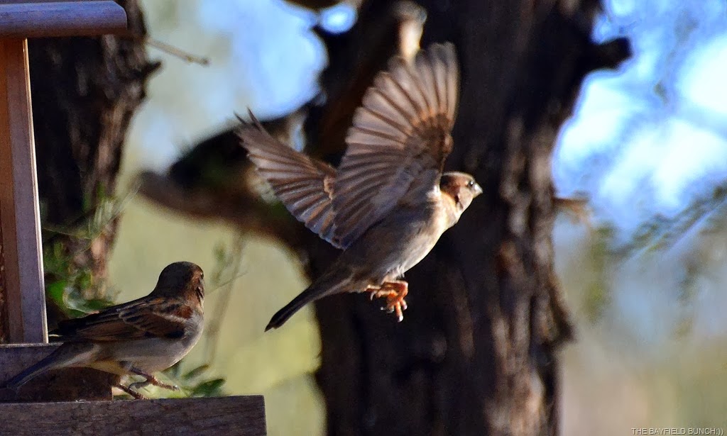 [DSC_0077%255B4%255D.jpg]