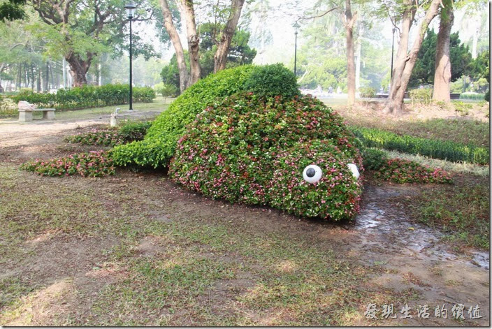 台南-2014中山公園百花祭。這是烏龜造型的花卉裝置藝術，結合公園內原來的植物，再加些花卉而成。