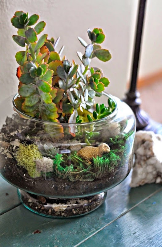 Bunny Terrarium from Fry Sauce and Grits