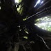 Hike around Finca Neblina del Bosque - La Rampla, Nicaragua esteli-jinotega-miraflor_064.jpg