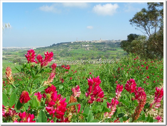 Picnic at Dwejra (92)