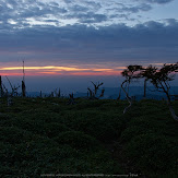 大台ケ原,9月(PK3_9842,F6.3,18mm,K3)2014yaotomi_.jpg