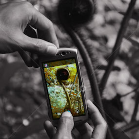 hanphone by Chusni Hidayad - Instagram & Mobile Android