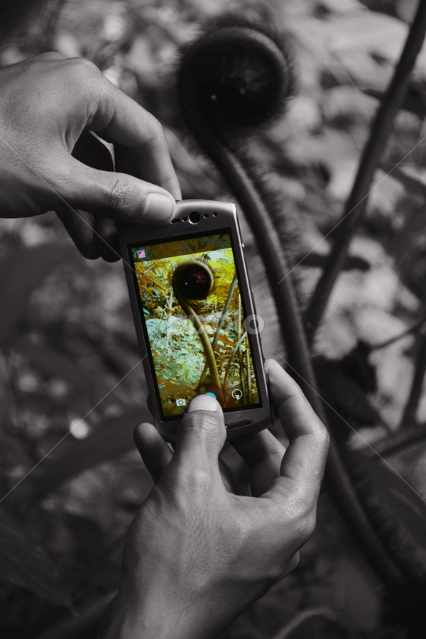 hanphone by Chusni Hidayad - Instagram & Mobile Android