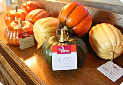 walmart pumpkins