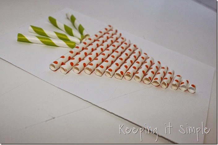 paper-straw-carrot (4)
