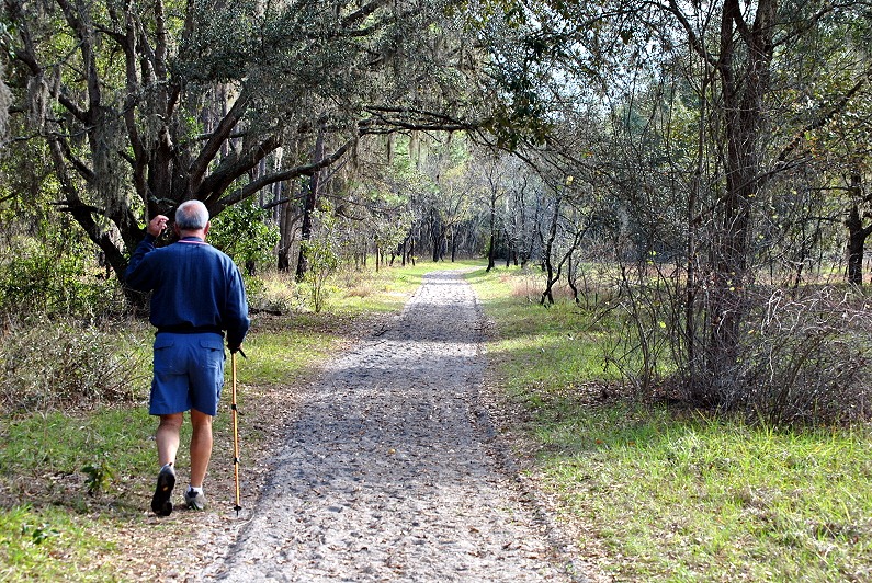 [04---Hiking-horse-trail4.jpg]