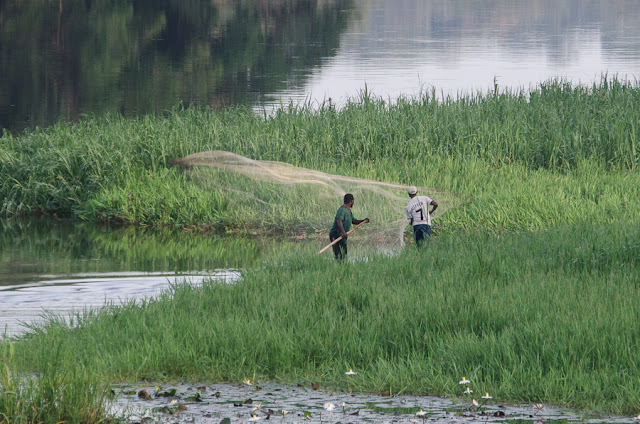 Pêche à l'épervier au bord de la Nyong. Ebogo (Cameroun), 28 avril 2013. Photo : C. Basset