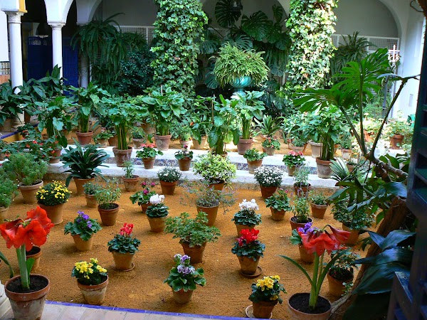 11. Patio in Santa Cruz.JPG