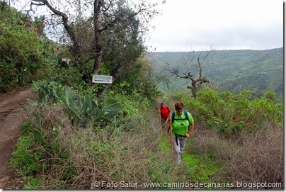 7001 Circular a Santa Brígida(Cuevas de los Gatos) 7001 Circular a Santa Brígida(Cuevas de los Gatos)