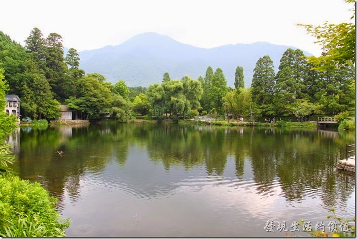 日本北九州-金鱗湖。這個角度就是從咖啡館拍攝的畫面。