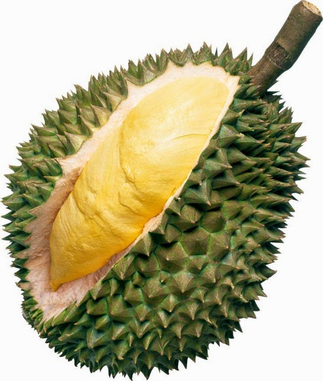 [Durian%255B4%255D.jpg]