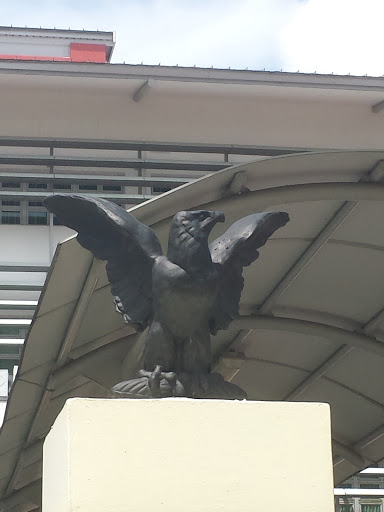 Nan Chiau's Eagle