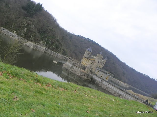La Loire au château de la Roche photo #790