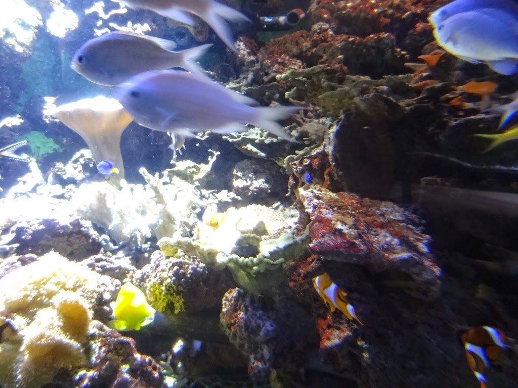 [2015.04.05-034%255B7%255D.jpg]