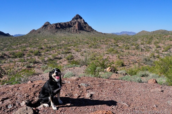 [DSC_0061%255B4%255D.jpg]