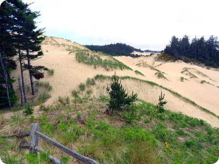 more dunes