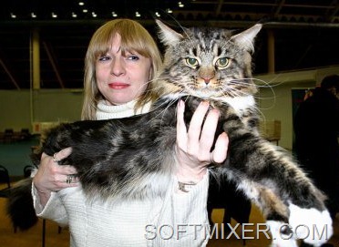 [1287494159_1244890788_kun19%255B8%255D.jpg]