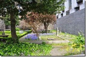Dublín. Cementerio Huguenot (entre dos edificios) - DSC_0452