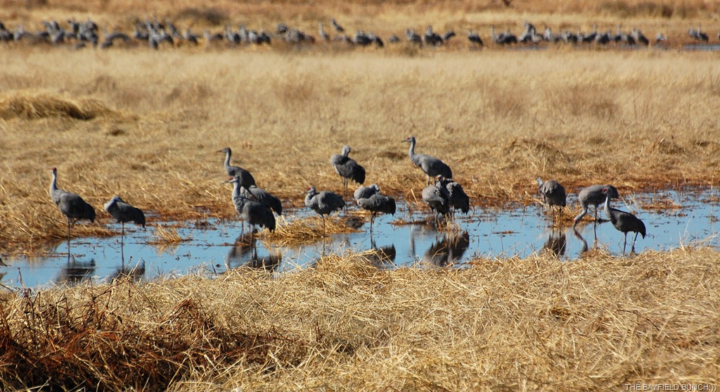 [DSC_5374%255B4%255D.jpg]