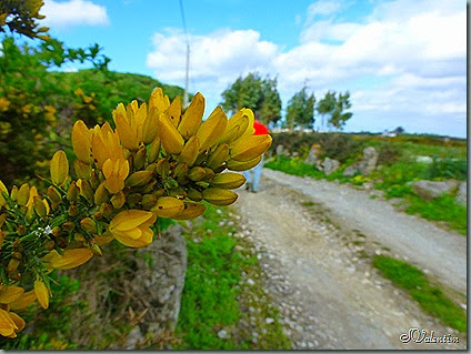 P1080036 P1080036
