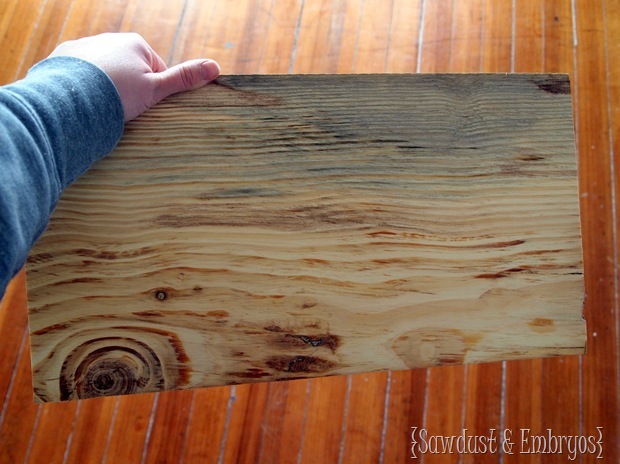 DIY Wooden State Plaque by Sawdust and Embryos
