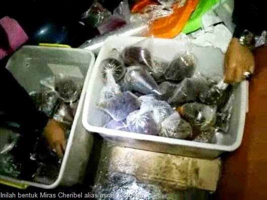 [miras%2520oplosan%255B16%255D.jpg]