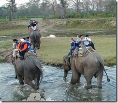 Chitwan-National-Park Chitwan-National-Park