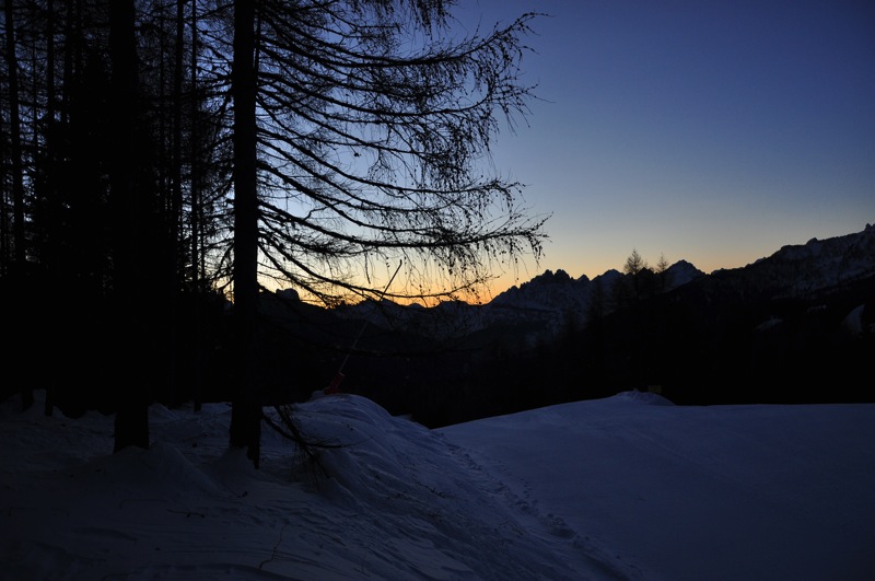 DSC_6614.JPG DSC 6614