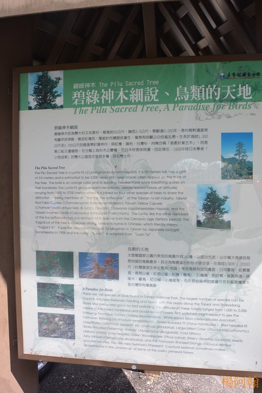 [0222-160----4.jpg]