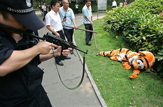 [clip_image003%255B3%255D.jpg]