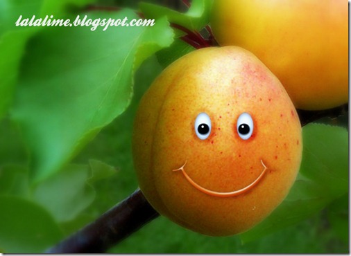 1-Amazing Apricot_Barb Derksen