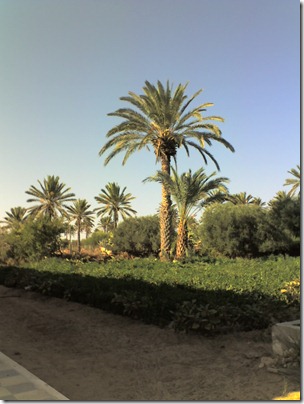 vacances Djerba