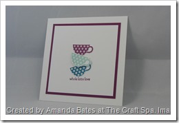 Patterned Occasions, The Craft Spa, SAB 2013, Stampin Up, SU (2)