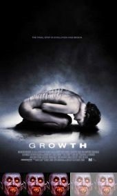 growth B-