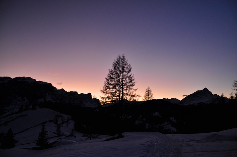 DSC_8351.JPG DSC 8351