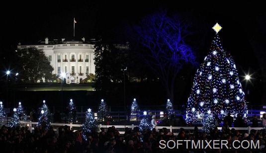 [trees24-900x518%255B6%255D.jpg]