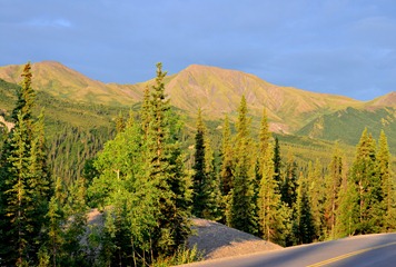 6am on the road into denali