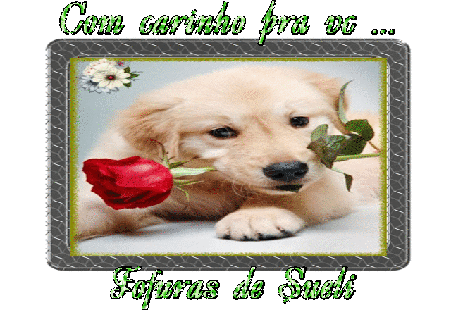 photo_name.gif