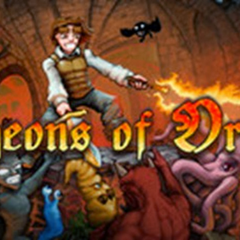 Dungeons of Dredmor is a graphical roguelike game created by Gaslamp Games.