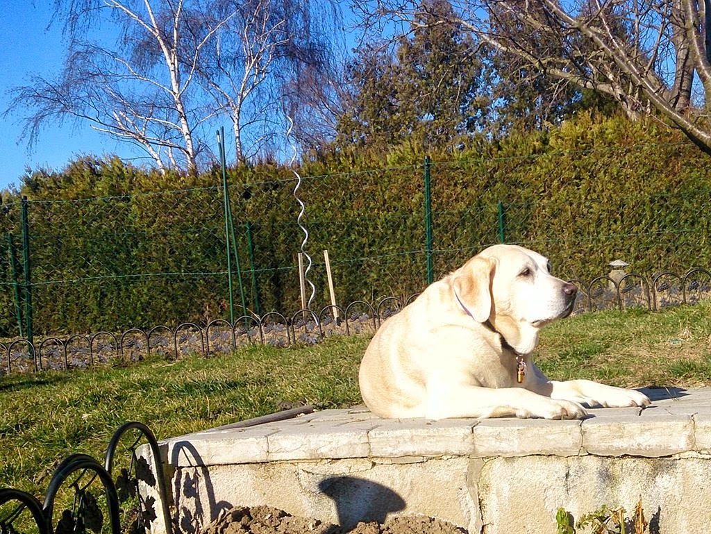 [DSC_1461_re%255B2%255D.jpg]