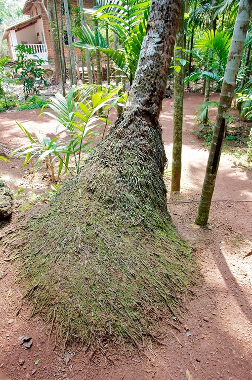 [DSC_2619%255B3%255D.jpg]